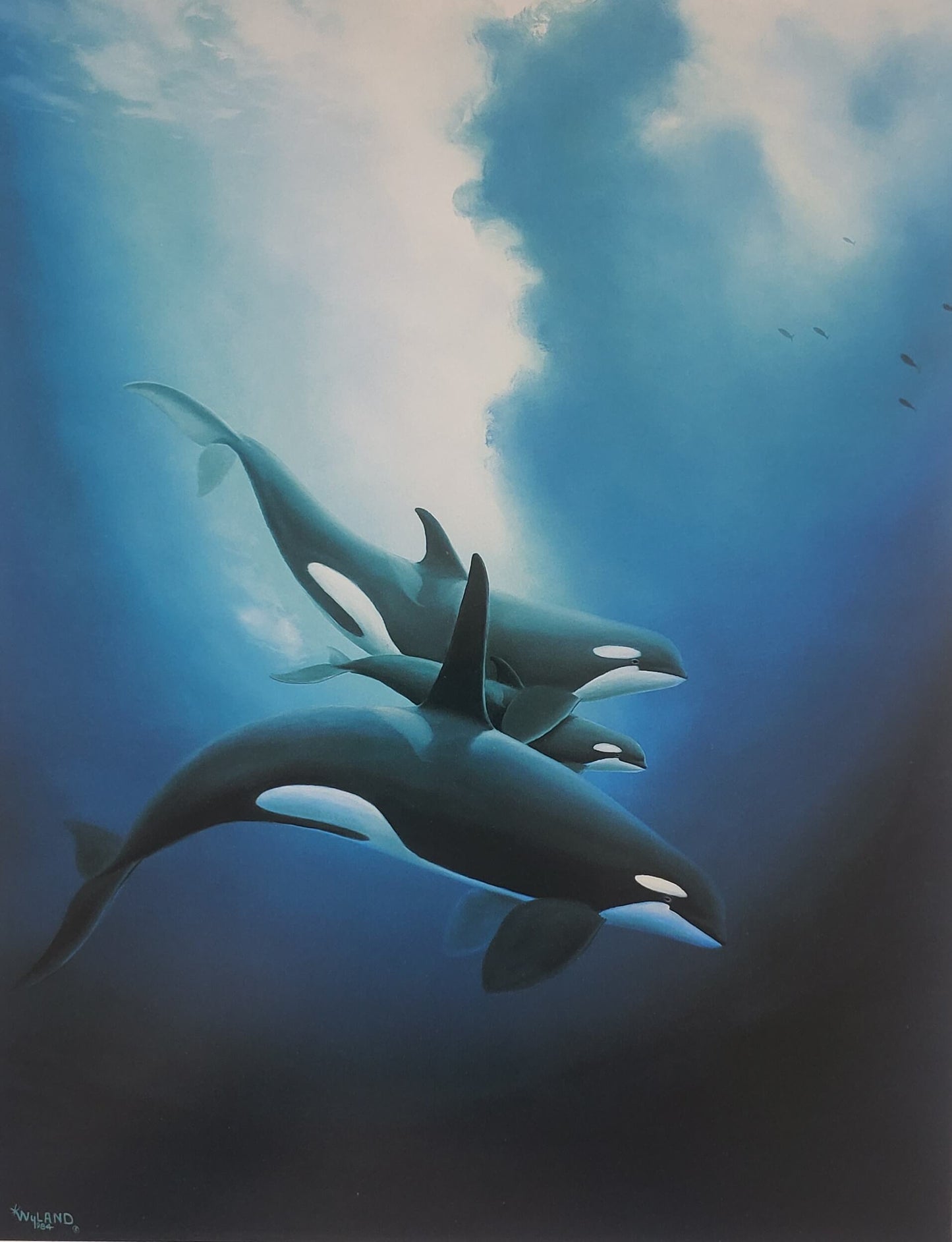 Wyland "Orca Trio" 8x10 Art Print