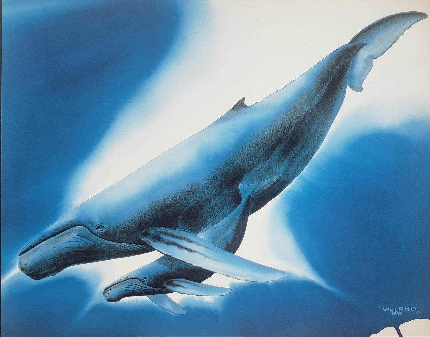 Wyland "Watercolor Whales" 8x10 Art Print