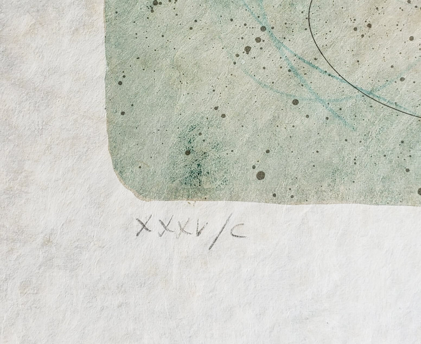 XXXV/C