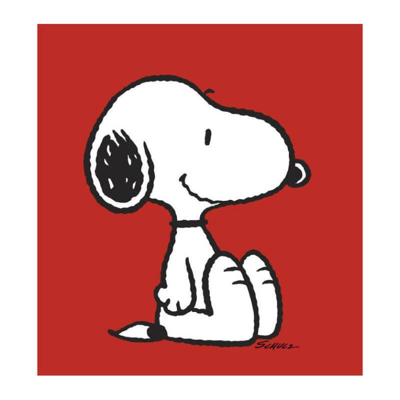 Charles Schulz Comic strip character Snoopy Dog from Peanuts on Red background