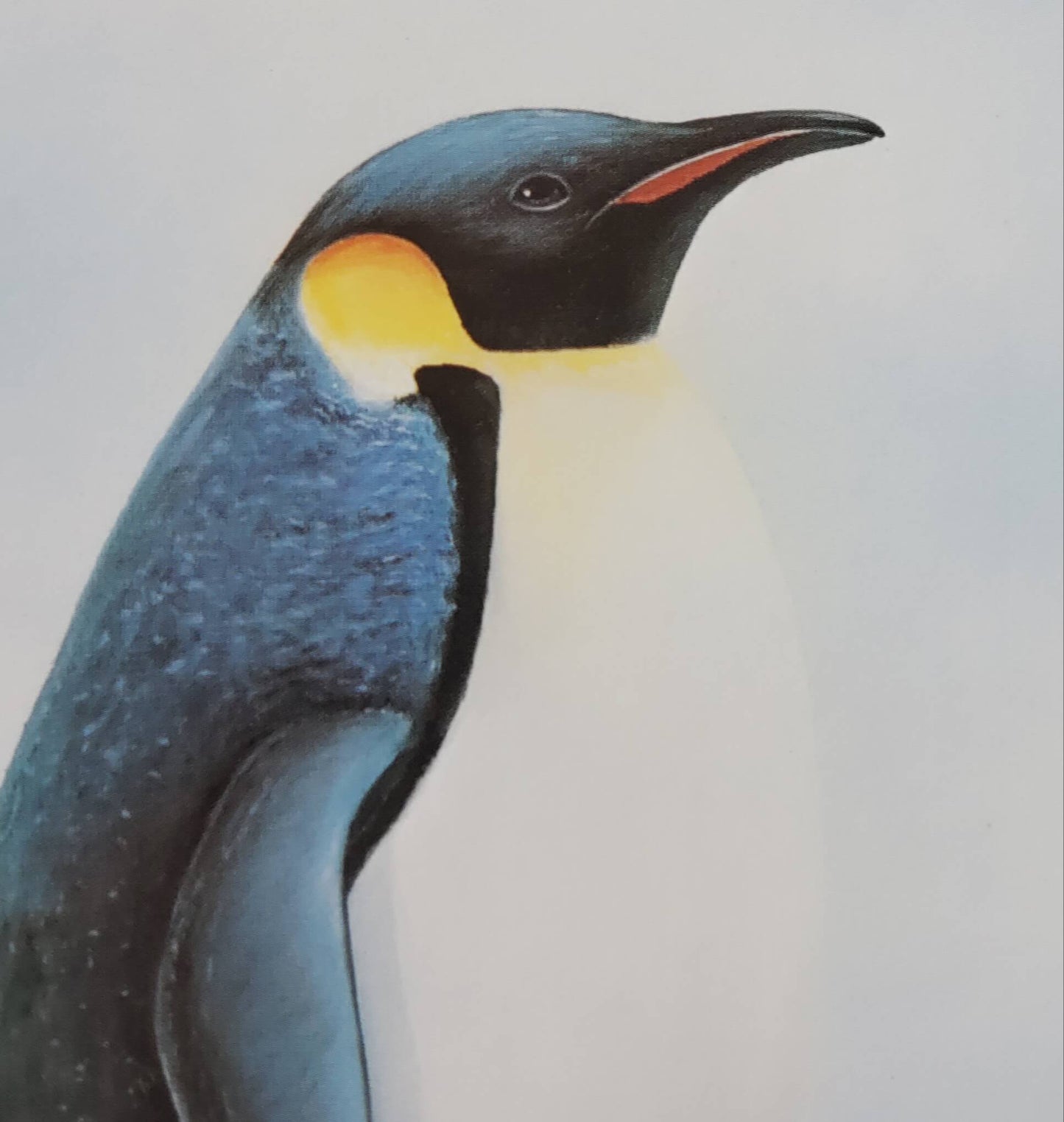 Wyland 1984 Emperor Penguins Art Print 8x10