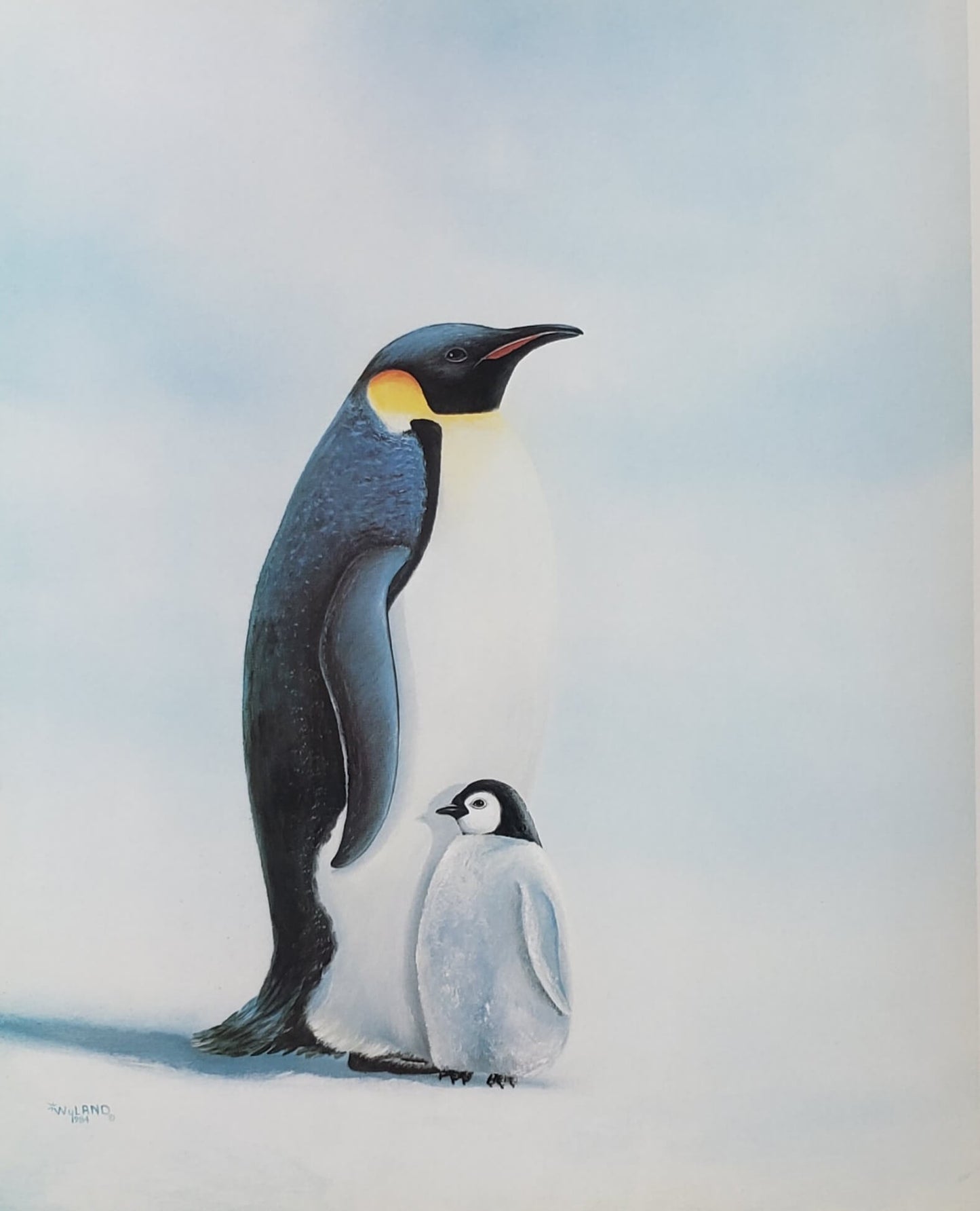 Wyland 1984 Emperor Penguins Art Print 8x10