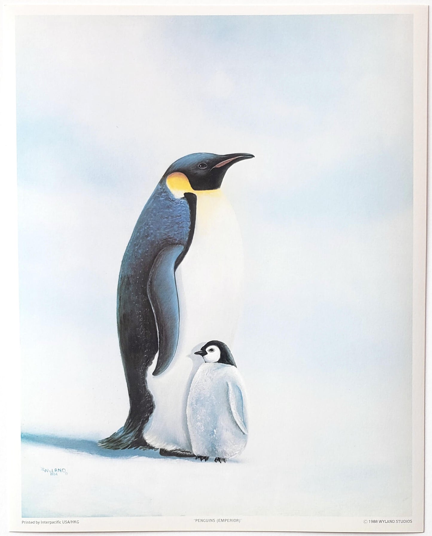 Wyland 1984 Emperor Penguins Art Print 8x10