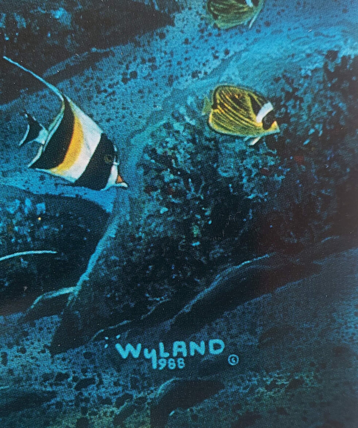 Wyland "Island Dolphins"