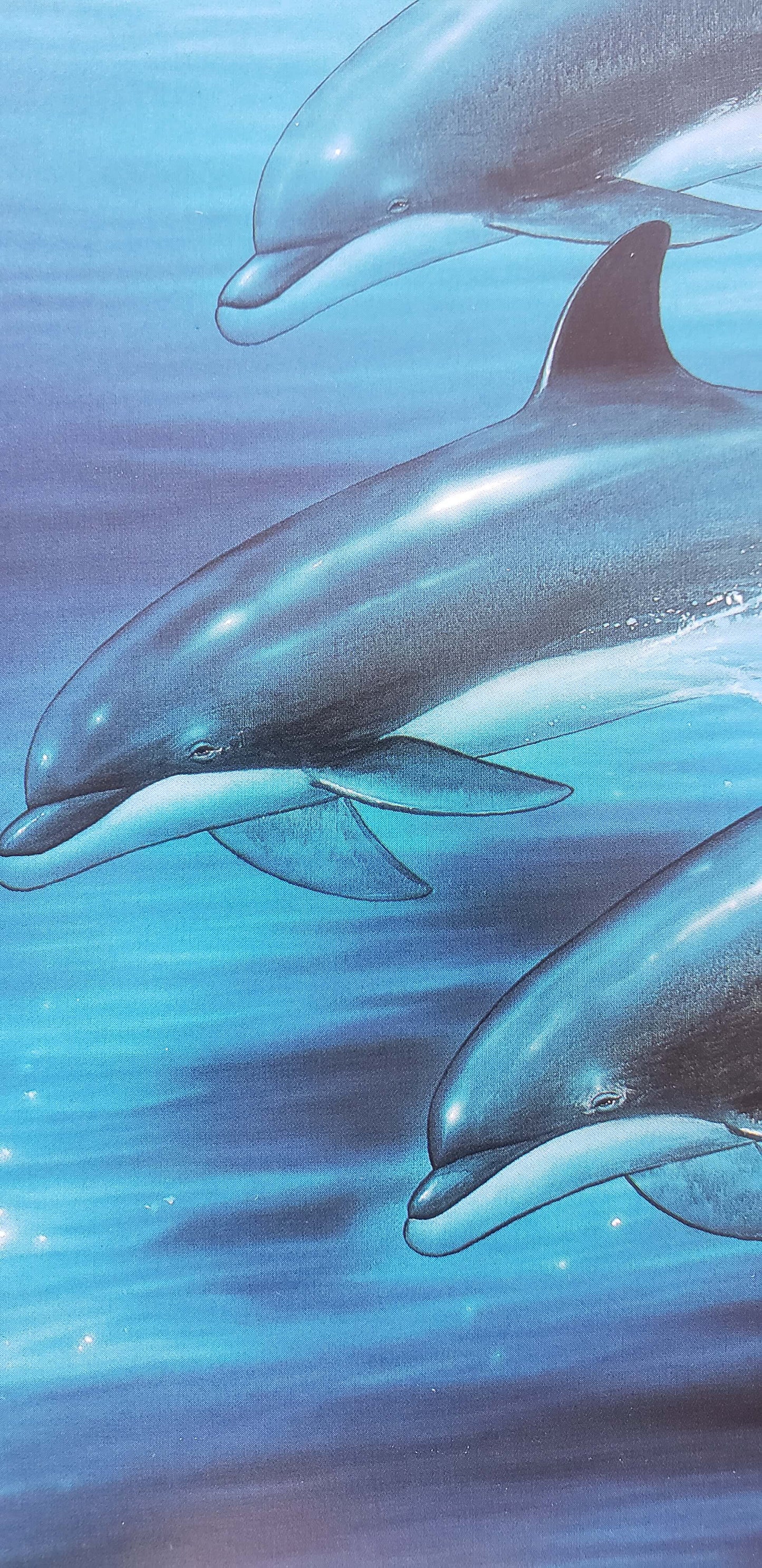 WYLAND "DOLPHIN TRIO" dolphins art