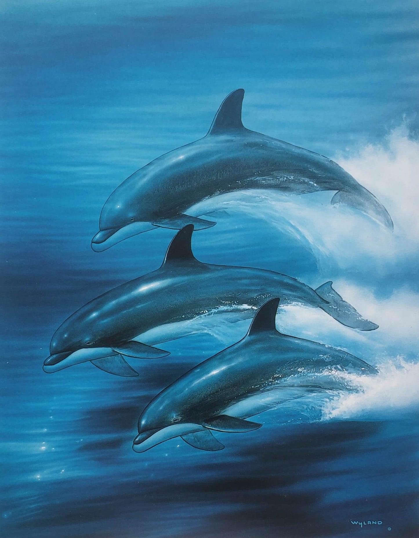 WYLAND "DOLPHIN TRIO" dolphins art