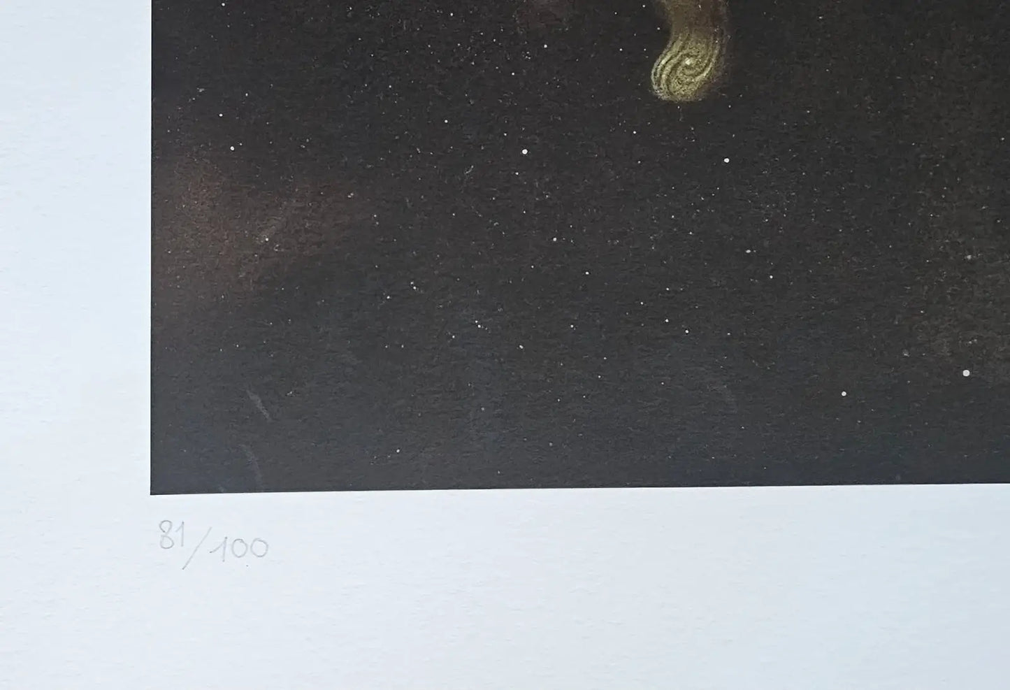 Nicoletta Ceccoli Nocturne Hand Signed Limited Edition Print