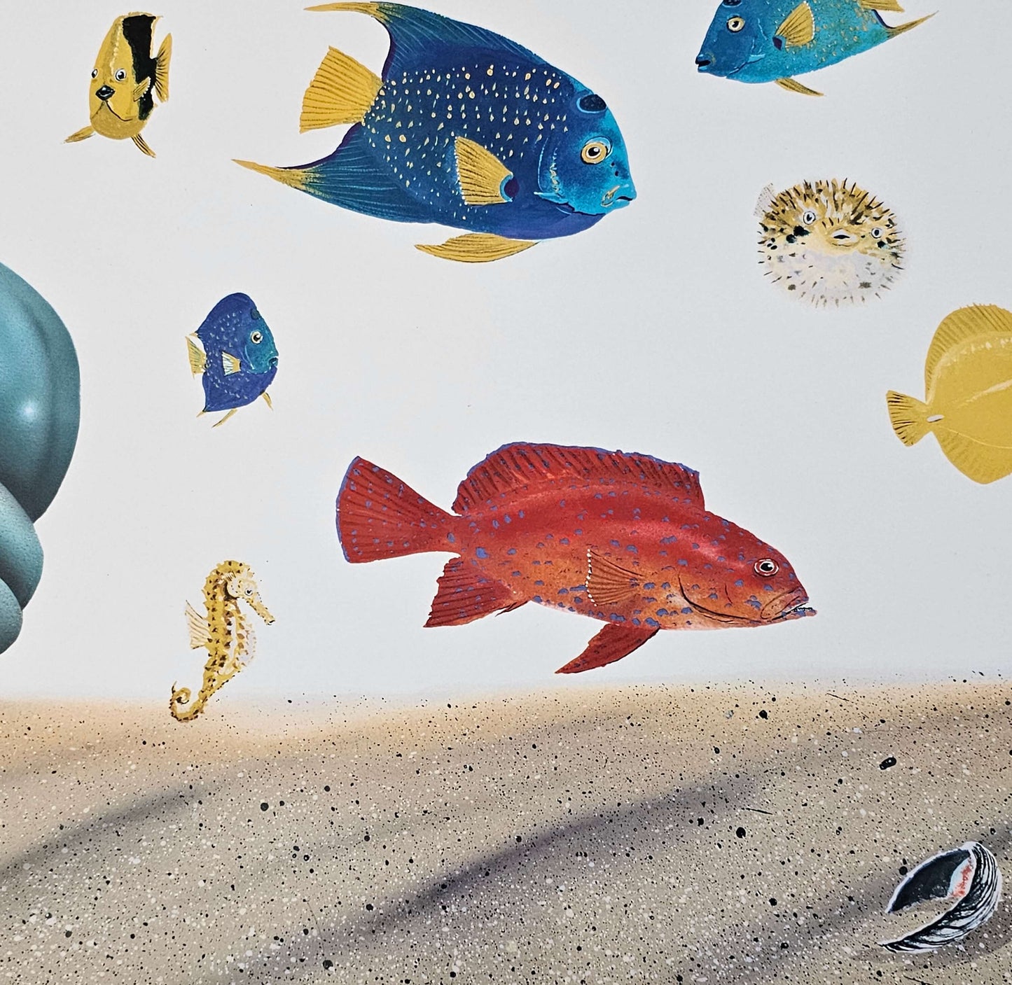 Reef fish, seahorse, puffer fish, angel fish, shell