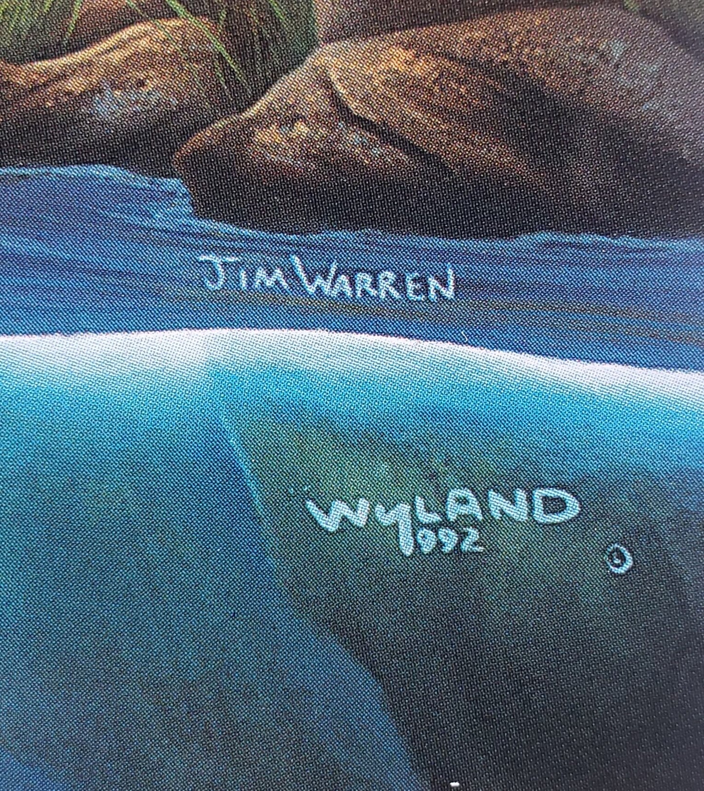 ROBERT WYLAND & JIM WARREN "DOLPHIN RIDES"
