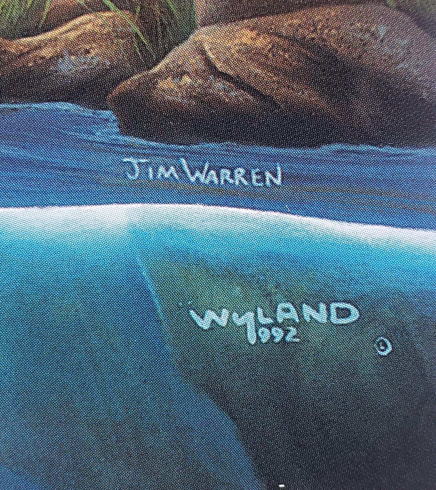 ROBERT WYLAND & JIM WARREN "DOLPHIN RIDES"