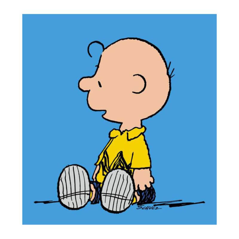 Charlie Brown Charles Schulz Comic Peanuts on blue background