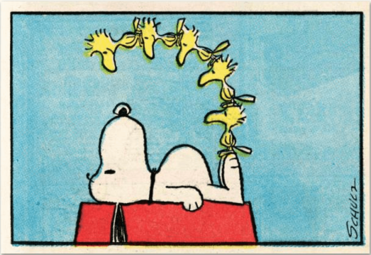 Charles M. Schulz Peanuts comic Snoopy Dog on dog house with 5 Woodstock birds looking over him. Signed in print Schulz copyright Peanuts Worldwide, LLC 
