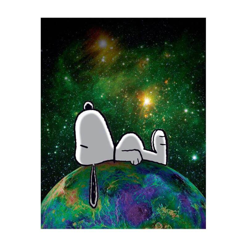 Peanuts "On Top of the World" Snoopy Dog on planet earth NASA photograph art on canvas