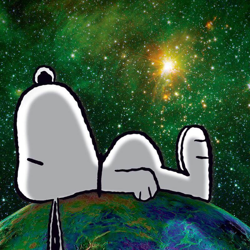Peanuts "On Top of the World" Snoopy Dog on planet earth NASA photograph art on canvas