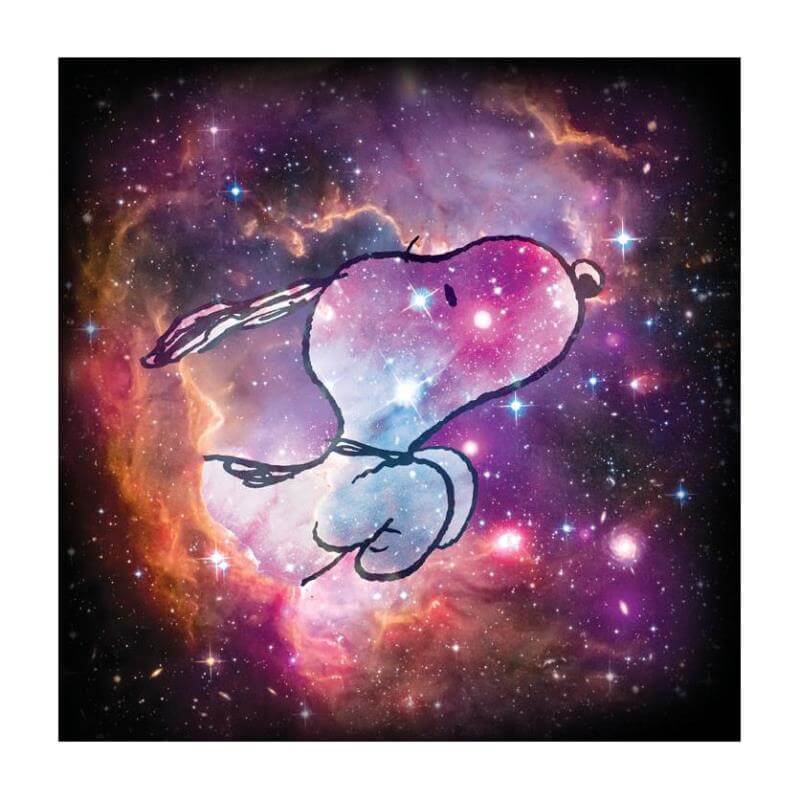 Peanuts Snoopy Reach for the Stars NASA fine art on canvas