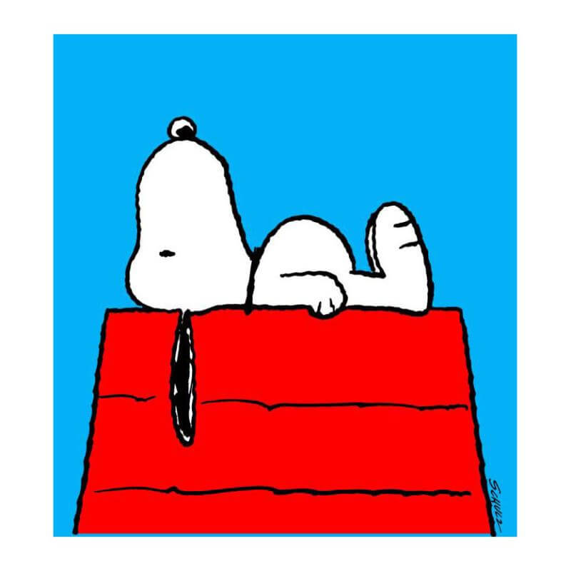 Peanuts Snoopy Dog on Dog house with red roof, blue background