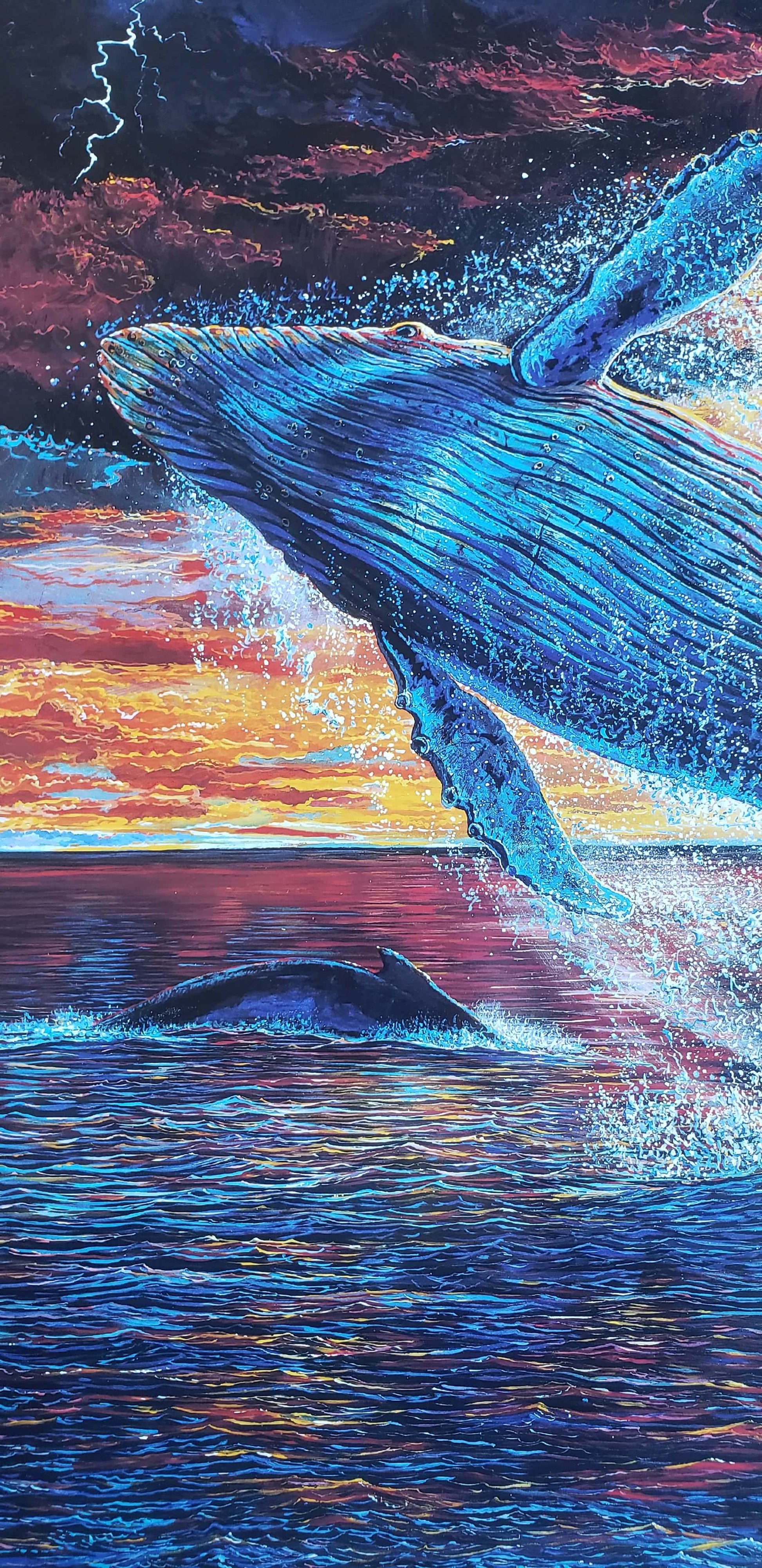 Humpback whale breaching