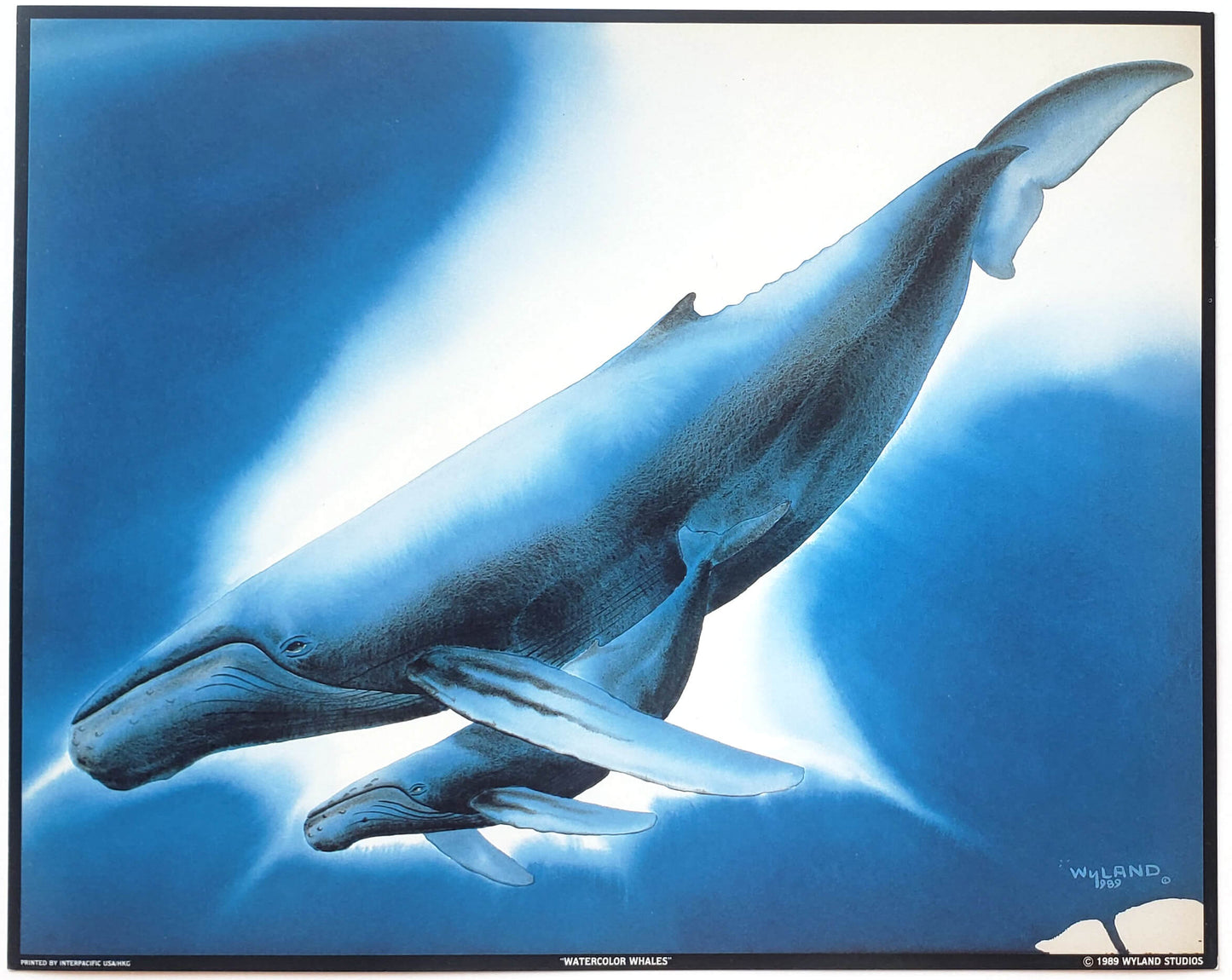 Wyland "Watercolor Whales" 8x10 Art Print
