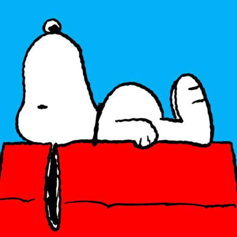 Peanuts Snoopy Dog on Dog house with red roof, blue background