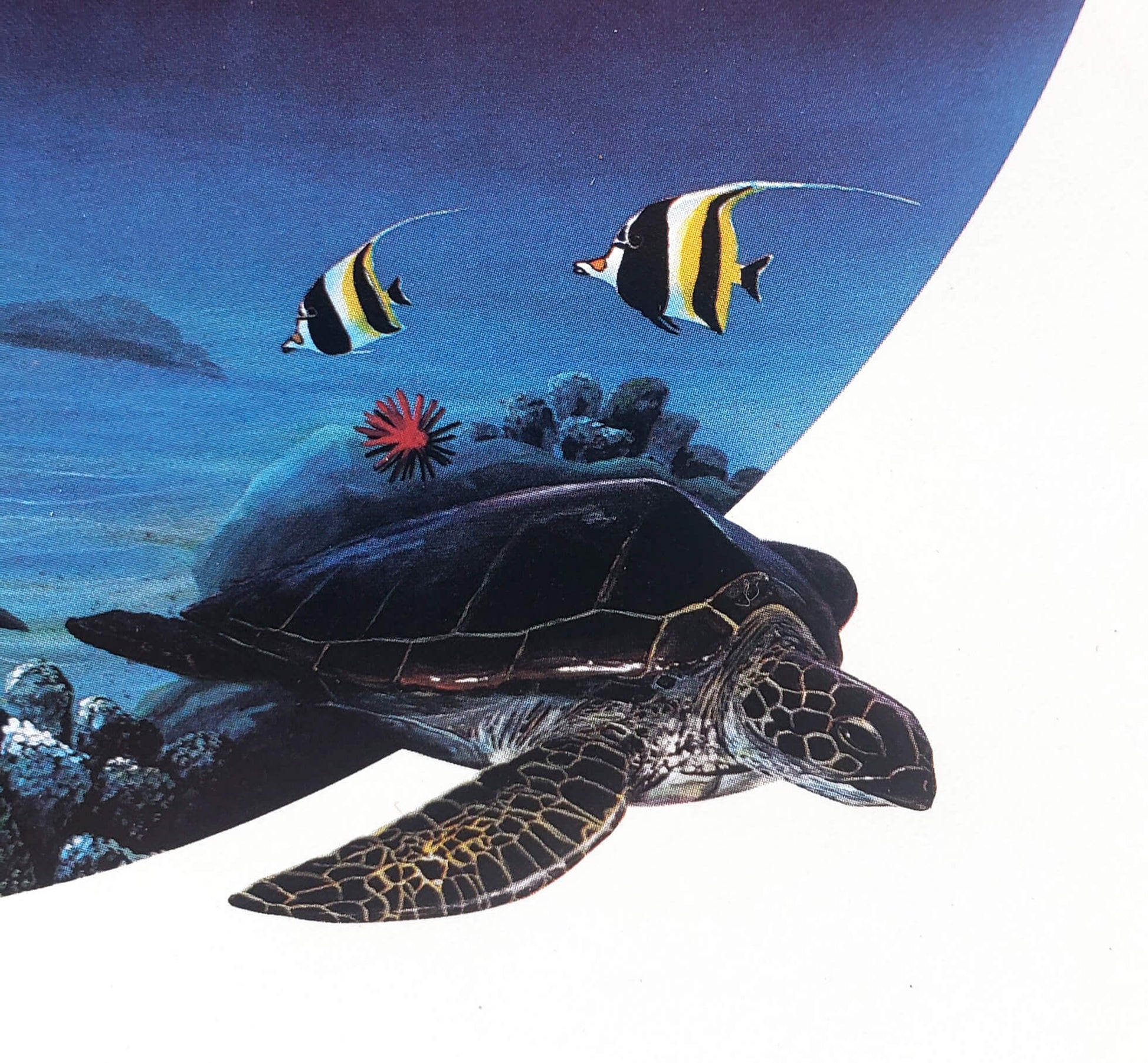 Wyland "Dolphin Days" 8x10 Art Print