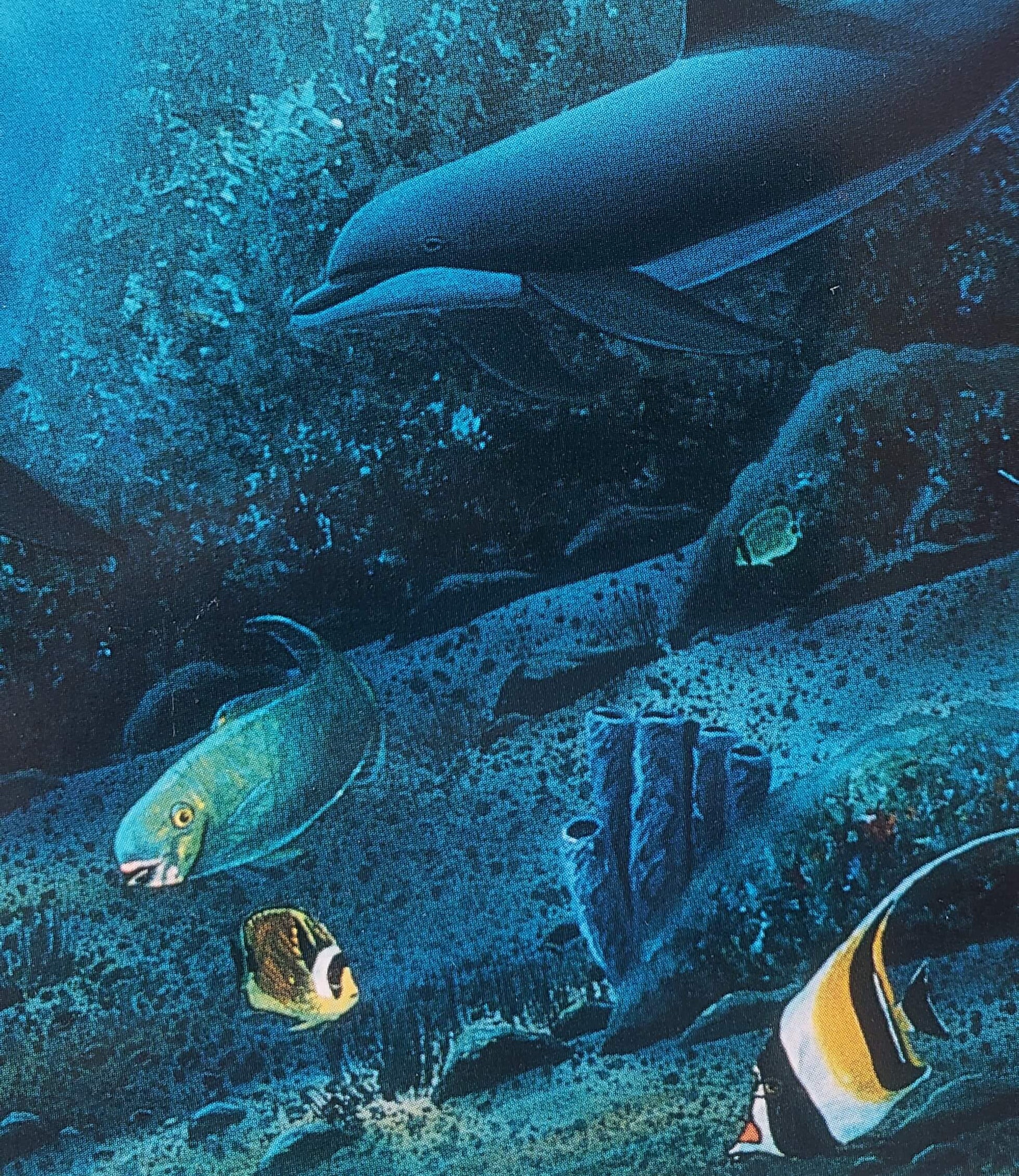 Wyland "Island Dolphins"