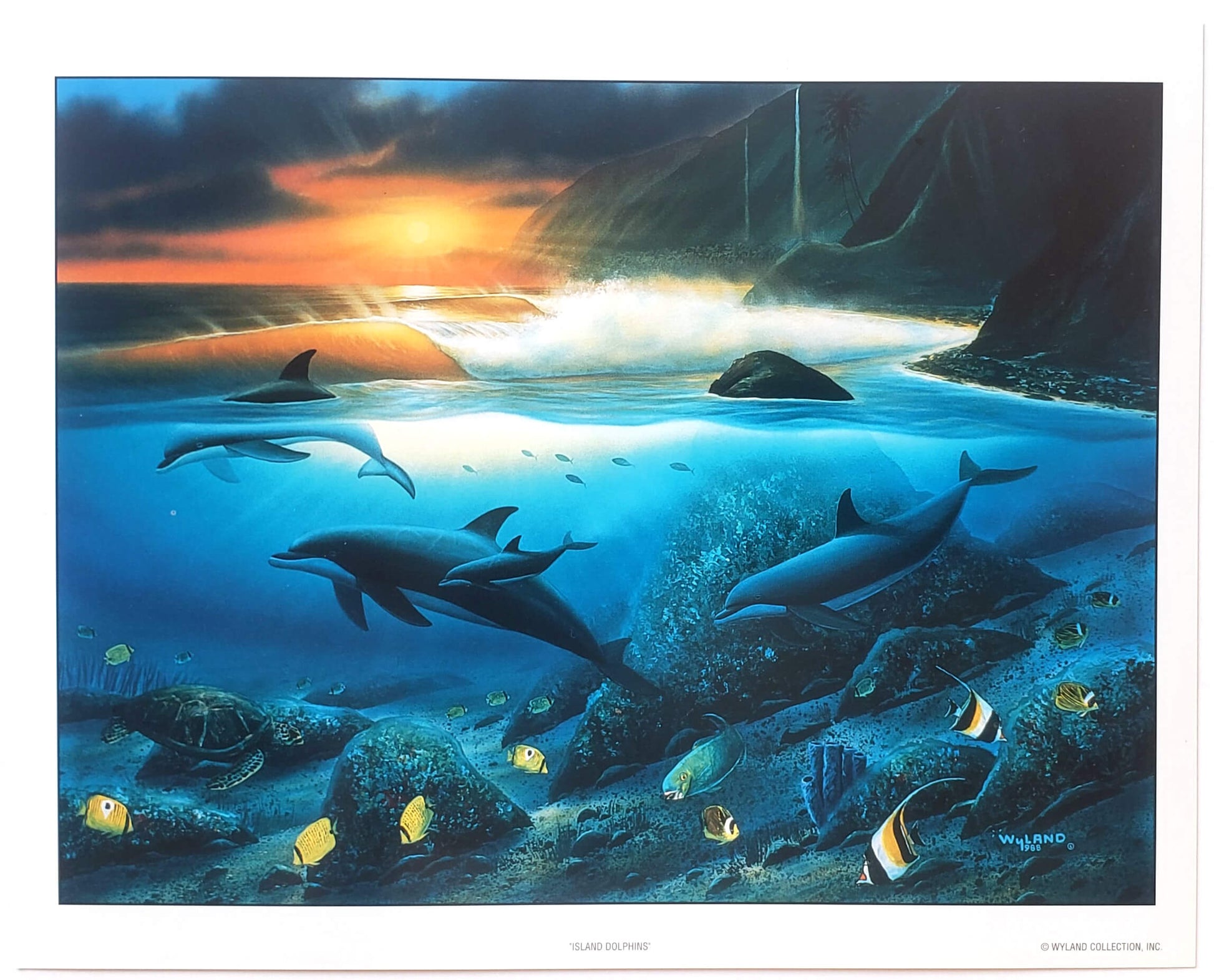 Wyland "Island Dolphins"
