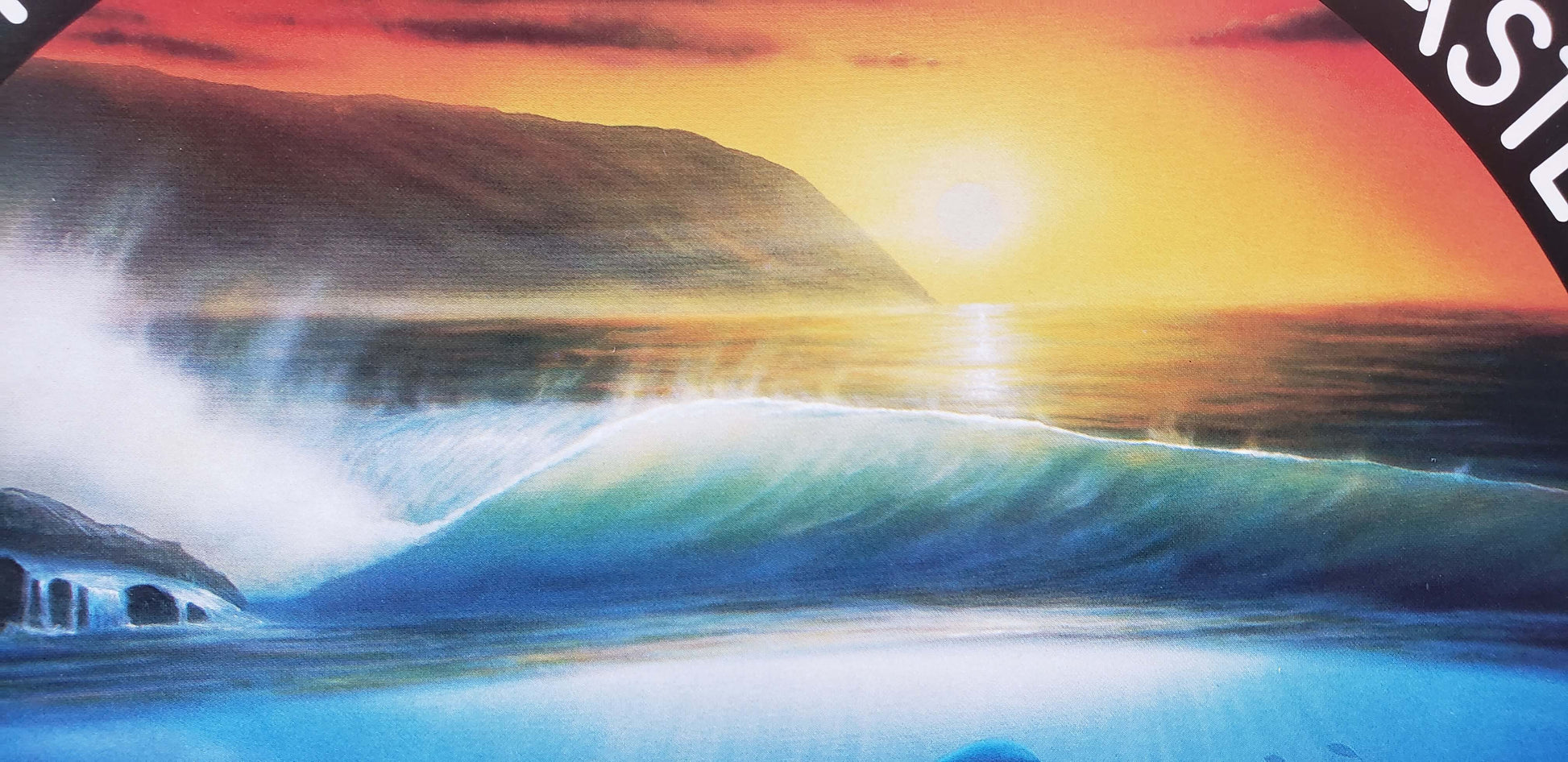 Wyland Dolphins Days Art