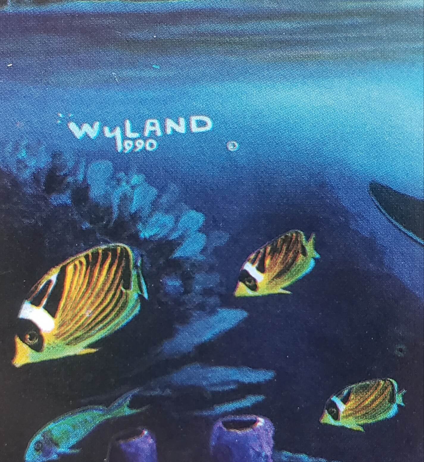 Wyland Dolphins Days Art