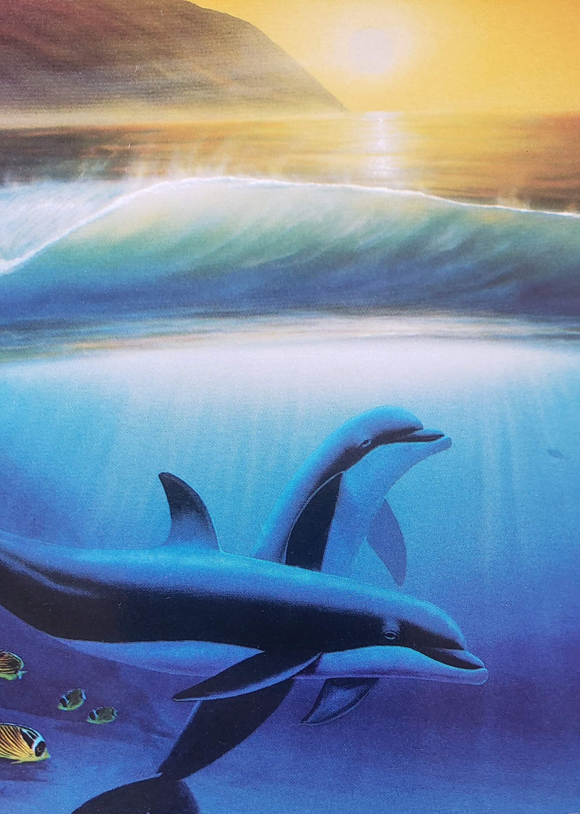 Wyland Dolphins Days Art