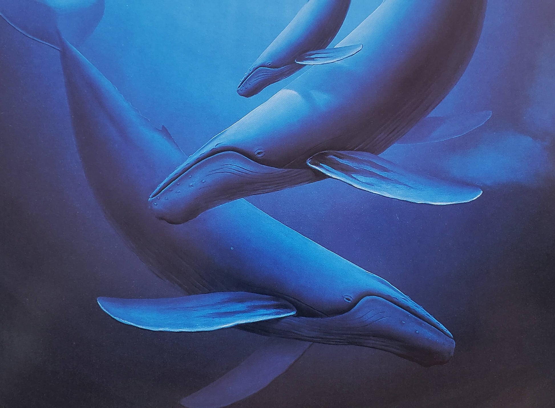Wyland "The Art of Saving Whales" 8x10 Art Print