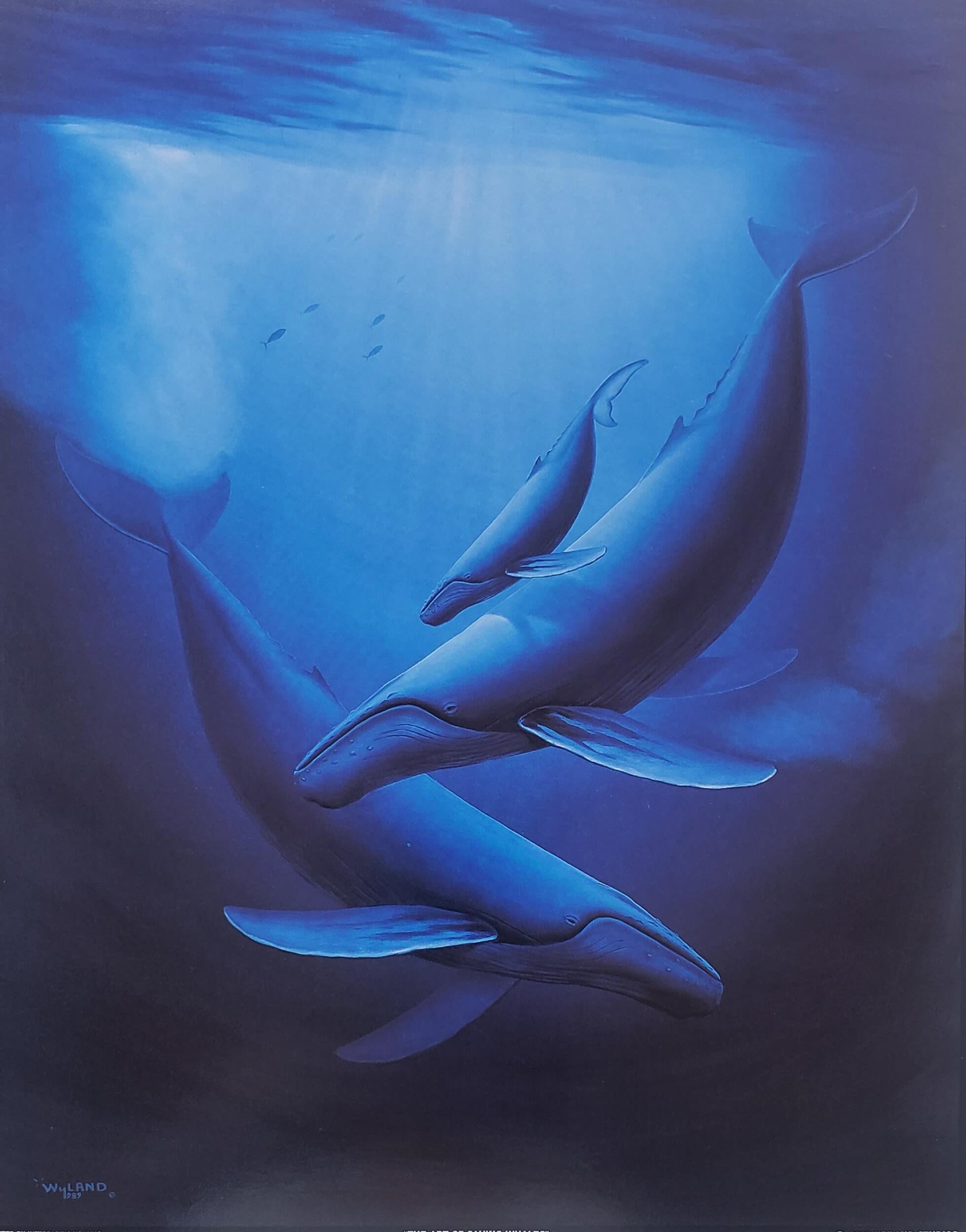 Wyland "The Art of Saving Whales" 8x10 Art Print