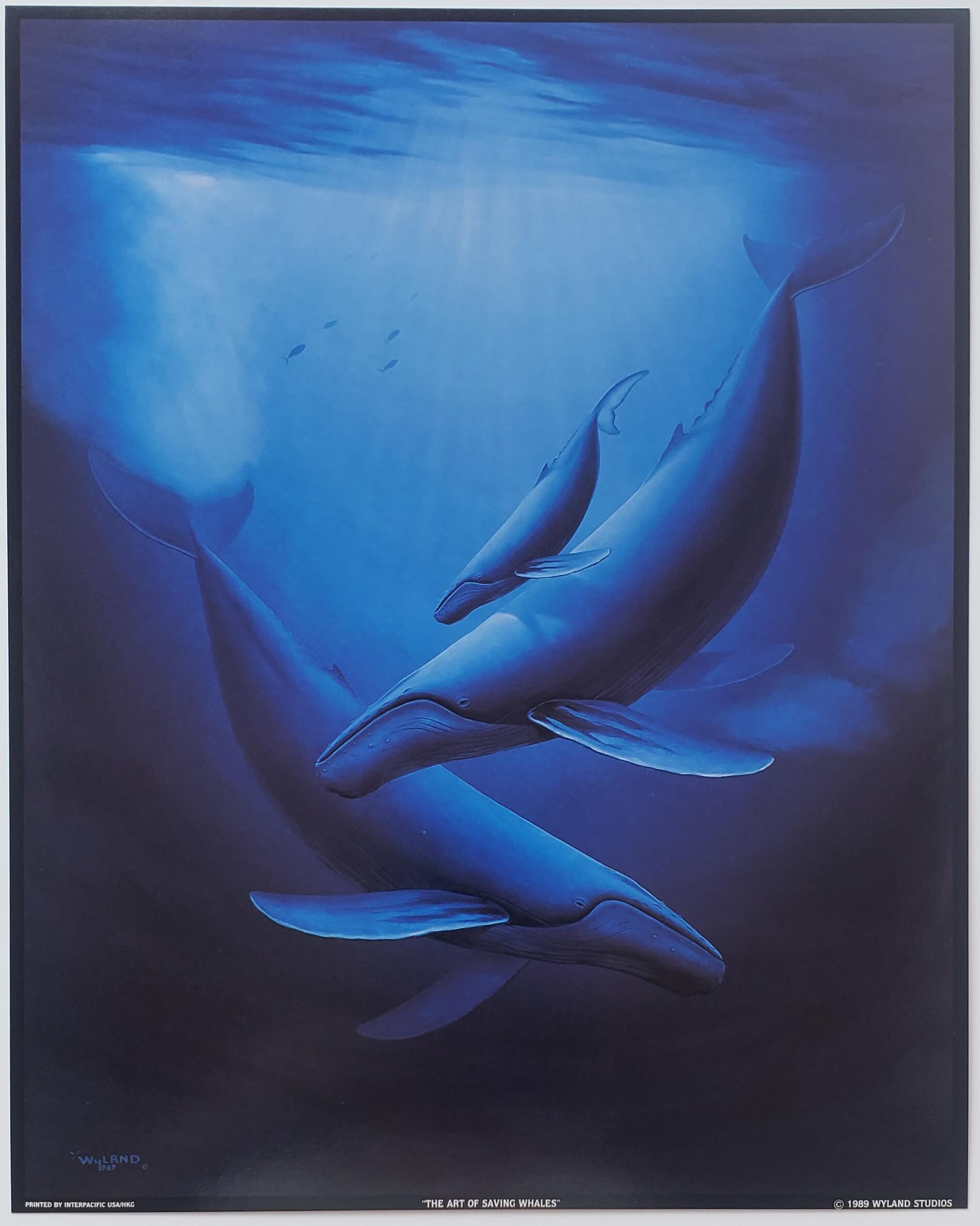 Wyland "The Art of Saving Whales" 8x10 Art Print