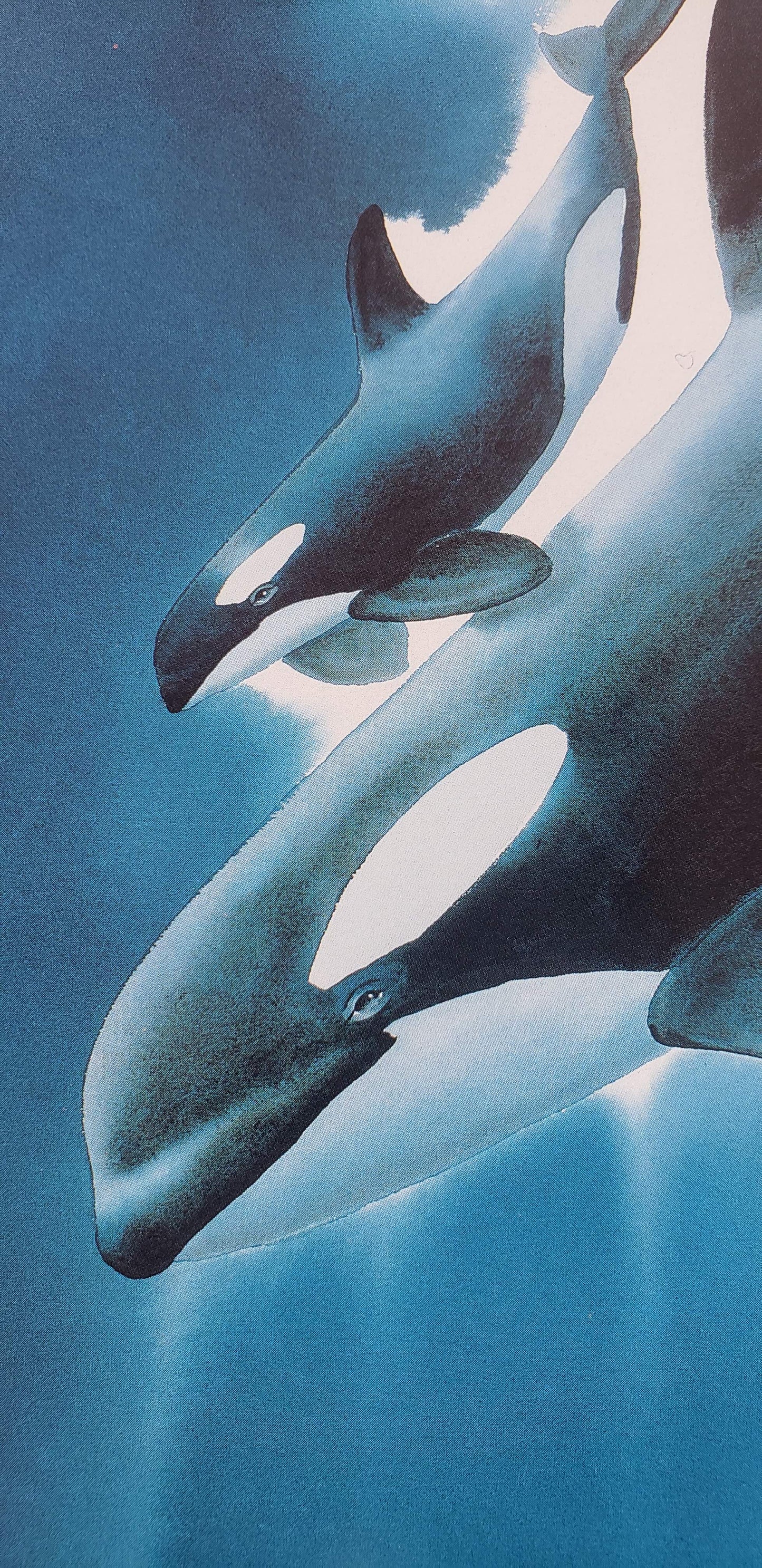 Wyland "Watercolor Orcas" Killer Whales 1989 Wyland Studios Art