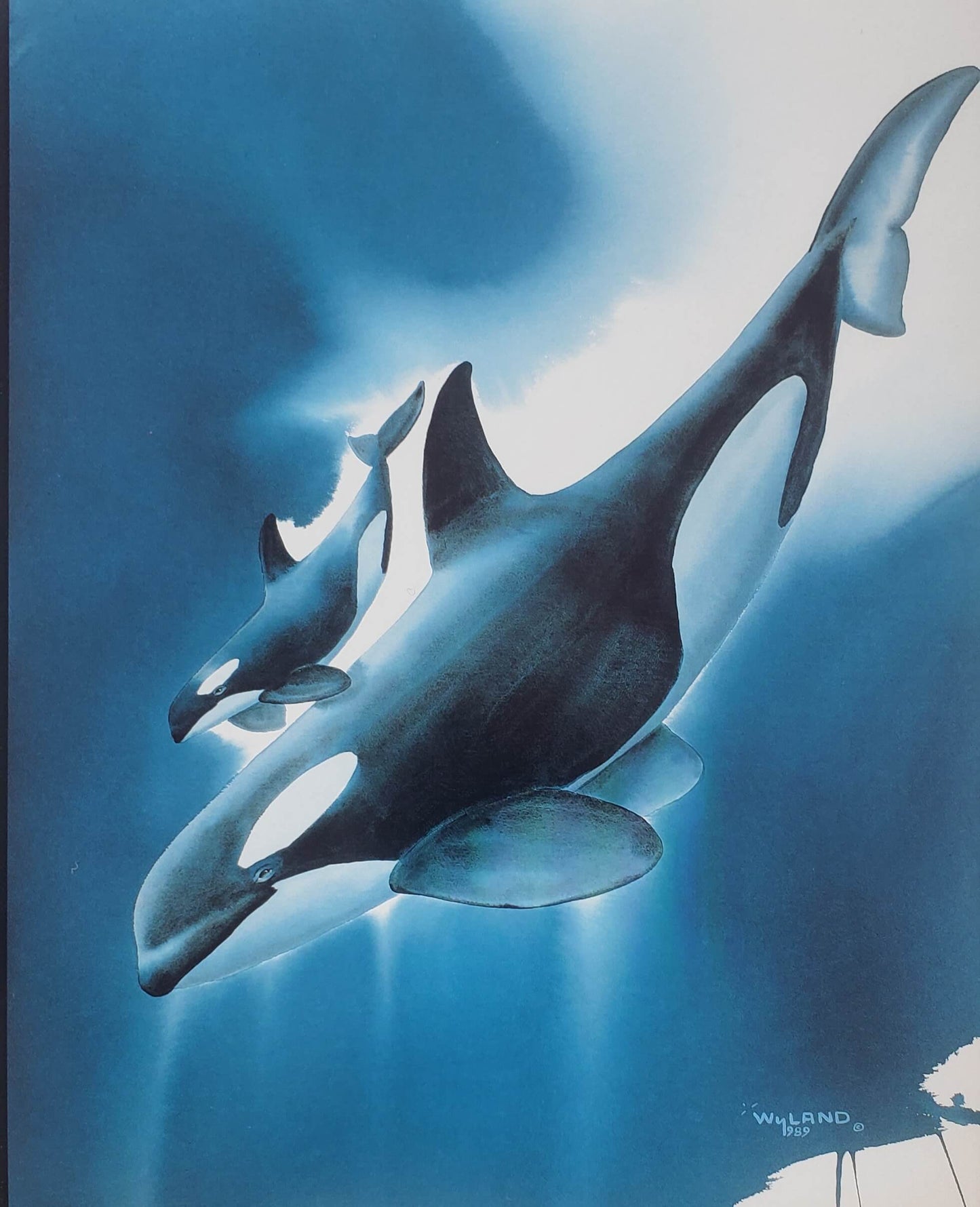 Wyland "Watercolor Orcas" Killer Whales 1989 Wyland Studios Art