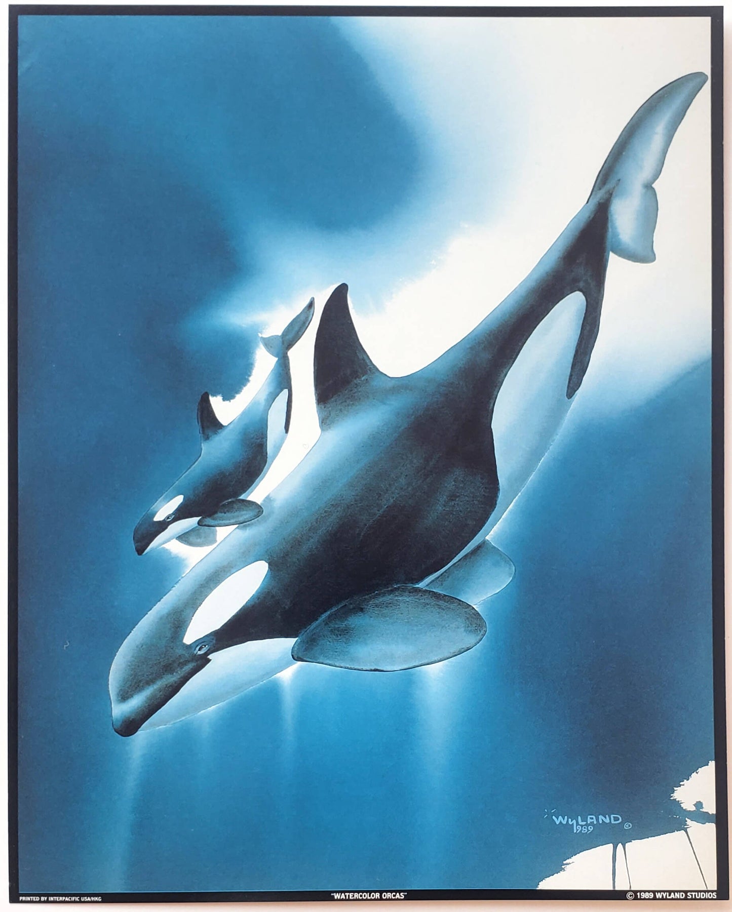 Wyland "Watercolor Orcas" Killer Whales 1989 Wyland Studios Art